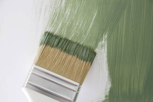 Trusted Beverly Hills, MI Mold Removal Experts