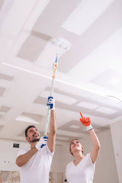 Best Basement Mold Removal  in Beverly Hills, MI