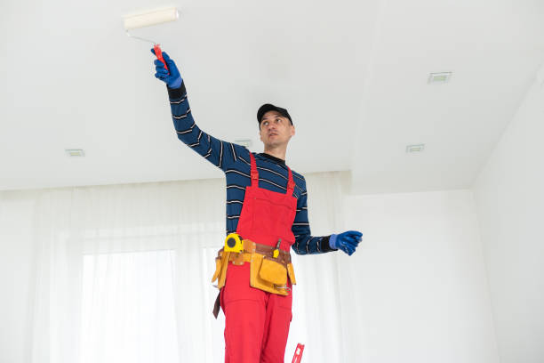 Mold Odor Removal Services in Beverly Hills, MI